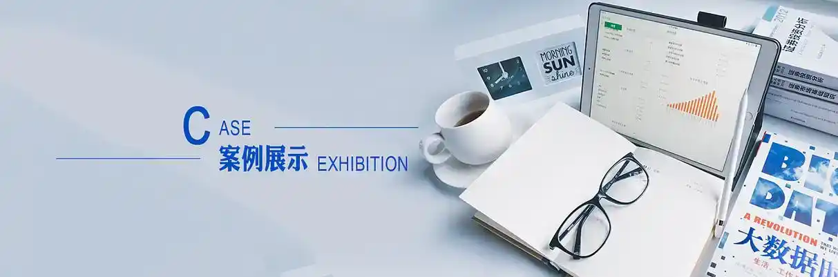 锦江区软件开发